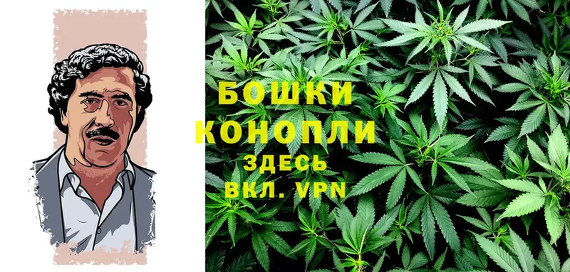 магазин продажи наркотиков  Райчихинск  МАРИХУАНА THC 21% 